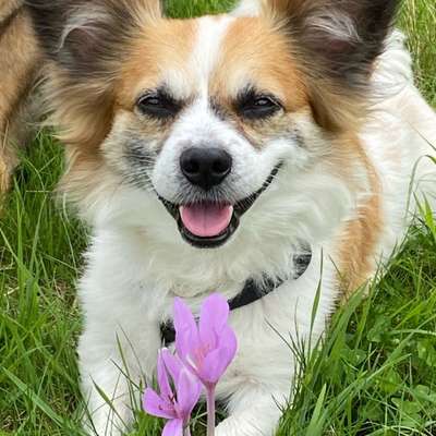 Lieblingsbild-Beitrag-Bild