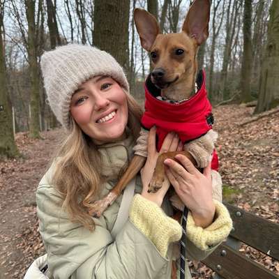 Hundetreffen-Social Walks Düsseldorf Nord-Profilbild