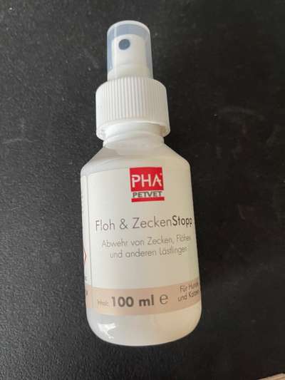 Rhodesian Ridgeback-Beitrag-Bild