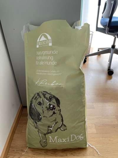 Rhodesian Ridgeback-Beitrag-Bild