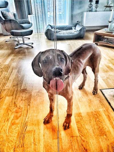 Tongue Out Tuesday-Beitrag-Bild