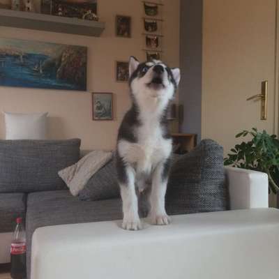 Vorher.... Nachher-Beitrag-Bild