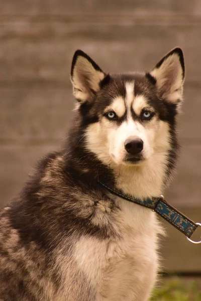 Vorher.... Nachher-Beitrag-Bild