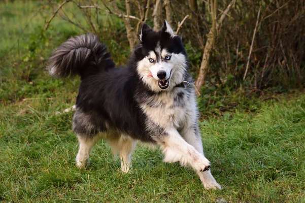 Vorher.... Nachher-Beitrag-Bild