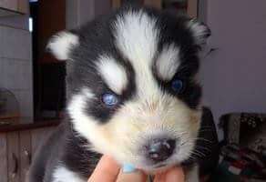 Vorher.... Nachher-Beitrag-Bild