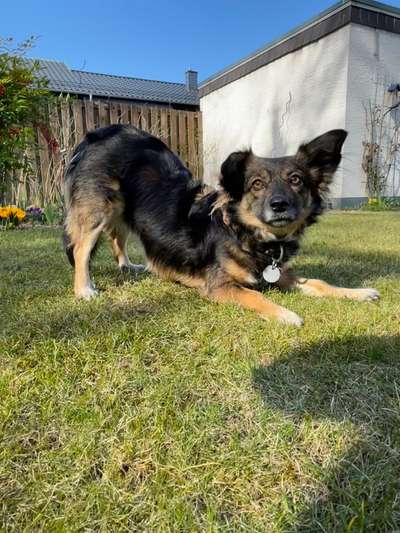 Trick Challenge Nr. 8-Beitrag-Bild