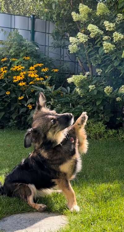 Trick Challenge Nr. 16-Beitrag-Bild