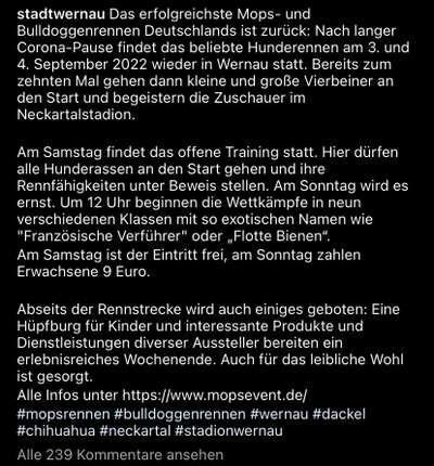 Brachycephale Hunderassen-Beitrag-Bild