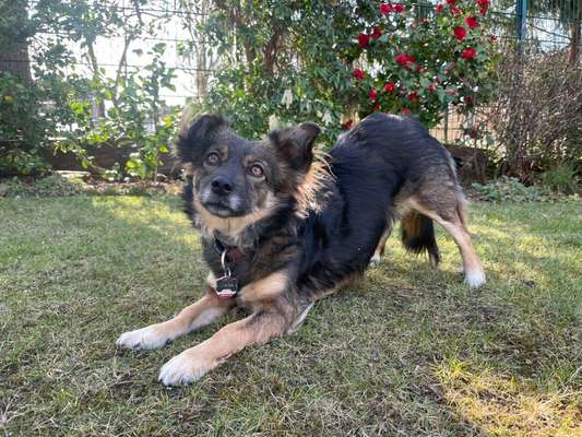 Trick Challenge Nr. 8-Beitrag-Bild