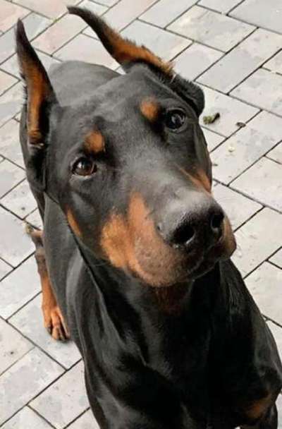 Fotochallange Nr. 57     PORTRÄT.   Beendet!!!!!!!!-Beitrag-Bild