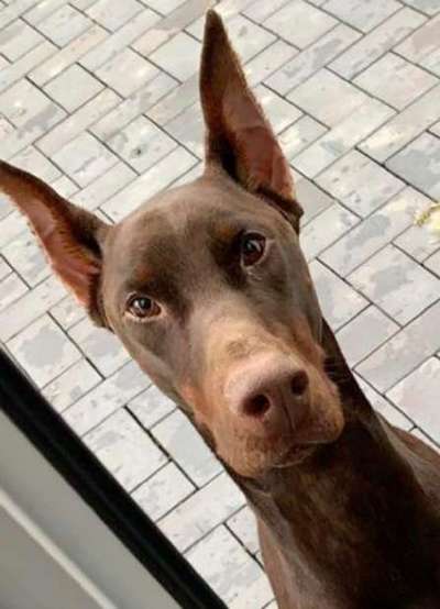 Fotochallange Nr. 57     PORTRÄT.   Beendet!!!!!!!!-Beitrag-Bild