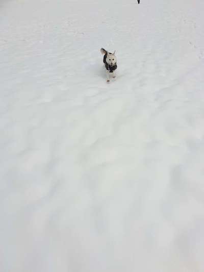 Challenge Nr. 15
Spiel im Schnee-Beitrag-Bild