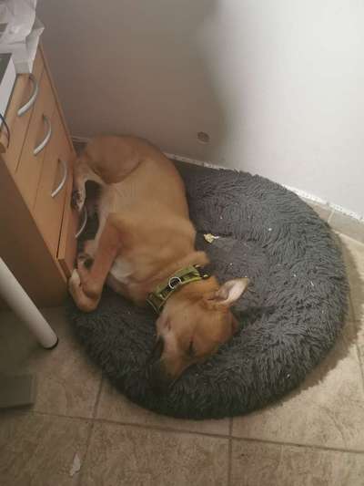 Verrückte Schlafpositionen-Beitrag-Bild