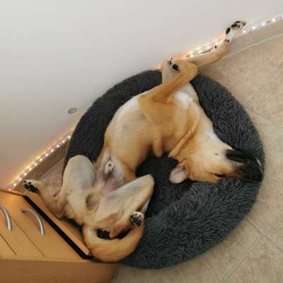 Verrückte Schlafpositionen-Beitrag-Bild