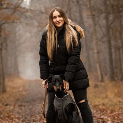 Hundetreffen-Liebevolle Hundebetreuung