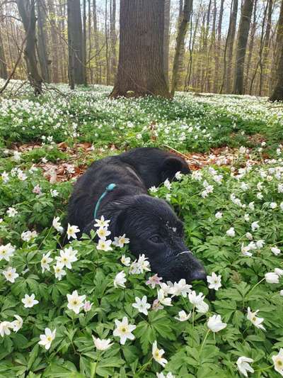 Foto Challenge Nr. 79-Beitrag-Bild