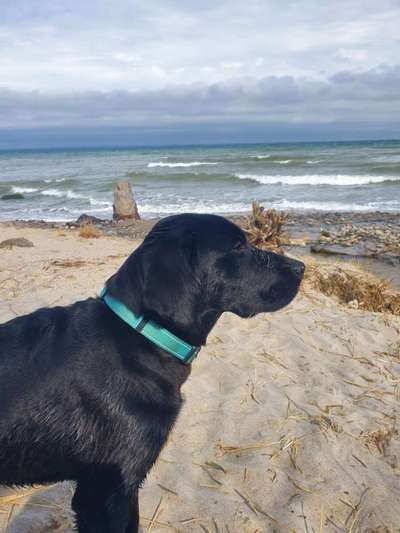 Fotowettbewerb Natur-Beitrag-Bild