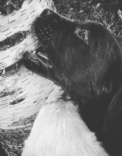 Foto-Challenge 76: Foto in Schwarz-Weiss-Beitrag-Bild