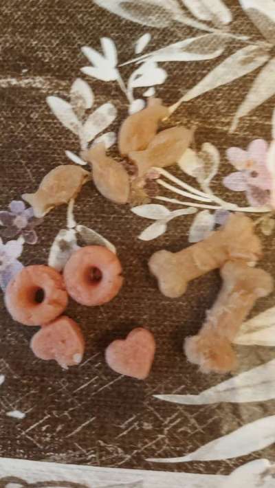 Heute gibt es.....der "ich mach die Leckerlis-Selber-Thread"-Beitrag-Bild