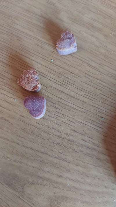 Heute gibt es.....der "ich mach die Leckerlis-Selber-Thread"-Beitrag-Bild