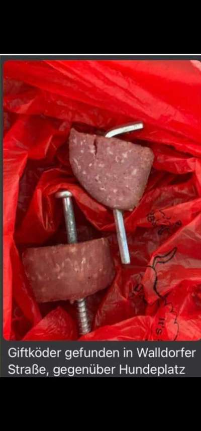 Giftköder-Wurst mit Schrauben/Metall-Bild