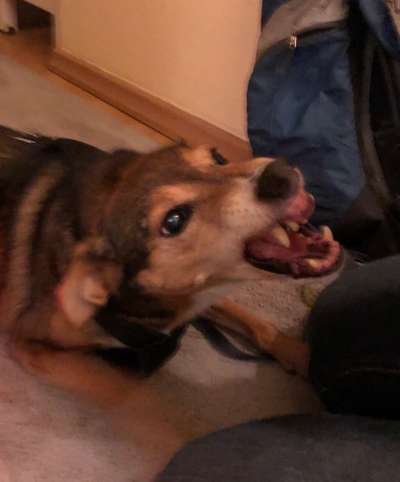 Her mit dem Grimassen-Beitrag-Bild