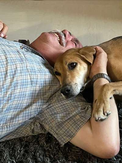 Russische Jagdhunde (Bracke) oder andere-Beitrag-Bild