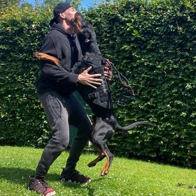 Hundetreffen-Welpentreffen