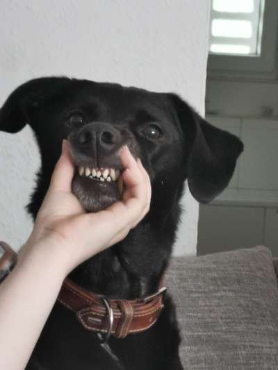 LUSTIGE FOTOS! WER KANN MITHALTEN?-Beitrag-Bild