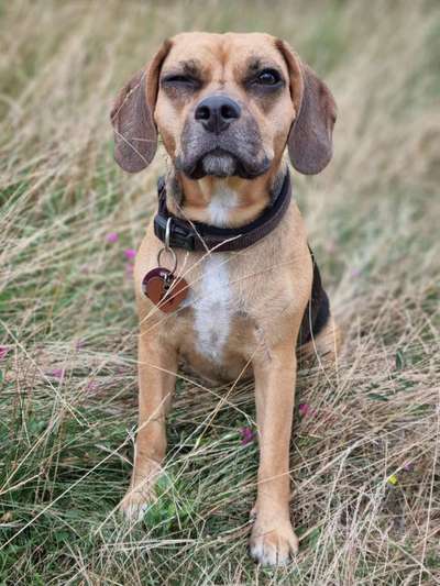 Lieblingsbild-Beitrag-Bild