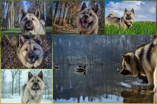 23. Collagen-Challenge: Portraits-Beitrag-Bild