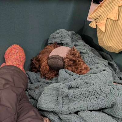 Wie habt ihr den Silvesterabend verbracht?-Beitrag-Bild