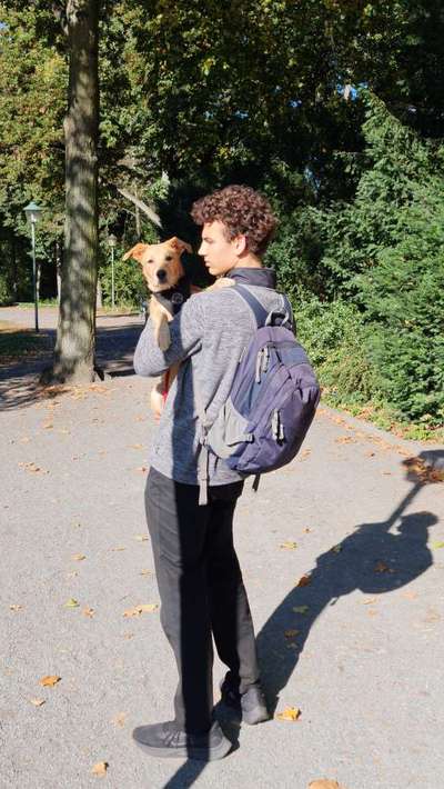 Hundmenschfotos-Beitrag-Bild