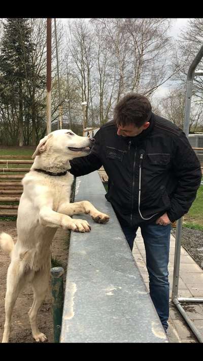 Euer absolutes lieblings Bild !-Beitrag-Bild