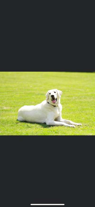 Euer absolutes lieblings Bild !-Beitrag-Bild