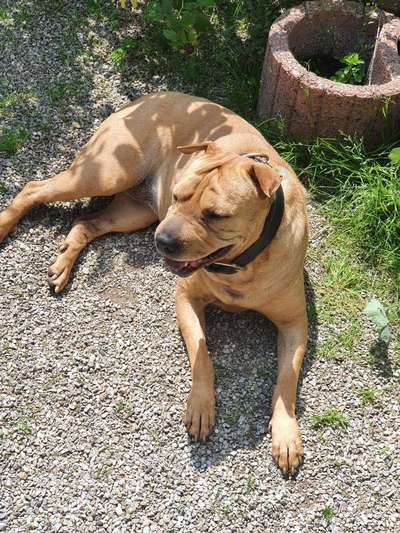 Farben Fotochallenge Sonnenlicht-Beitrag-Bild