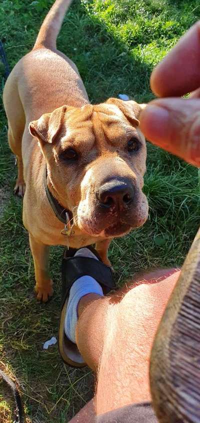 Leute aus Oberbayern?-Beitrag-Bild