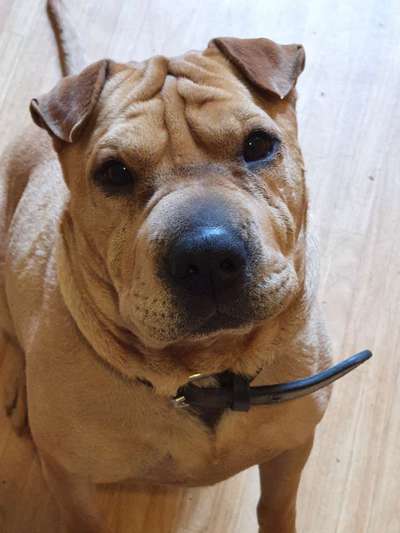 Zeigt eure Portraits-Beitrag-Bild