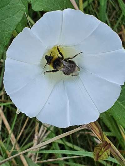 Die wunderschöne Welt mit Hund.-Beitrag-Bild