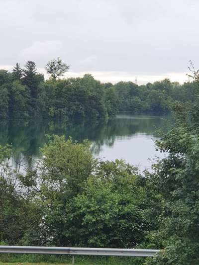 Die wunderschöne Welt mit Hund.-Beitrag-Bild