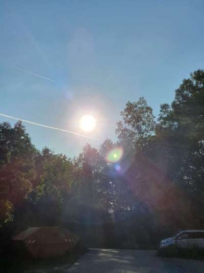 Die wunderschöne Welt mit Hund.-Beitrag-Bild