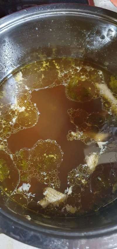 Zeigt her Eure Futternäpfe-Beitrag-Bild