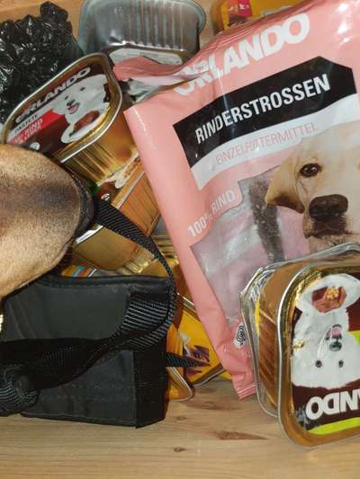 Zeig mir, dass du mit einem hund zusammenlebst....-Beitrag-Bild