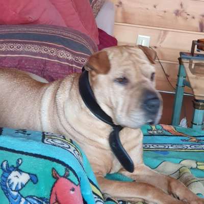 Leute aus Oberbayern?-Beitrag-Bild