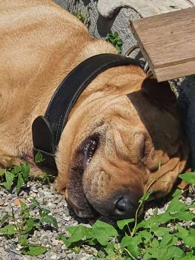 Foto Challenge 112 
ungewöhnliche Schlafplätze-Beitrag-Bild