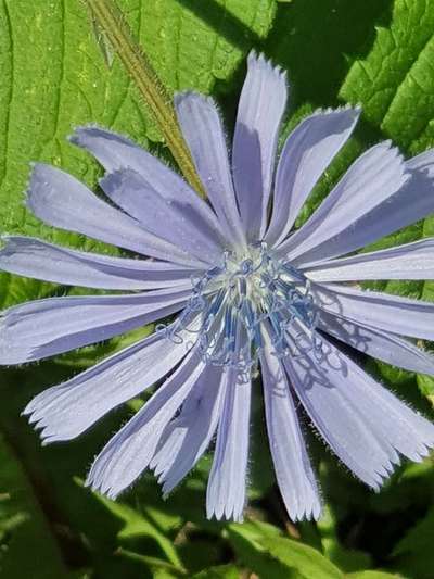 Die wunderschöne Welt mit Hund.-Beitrag-Bild