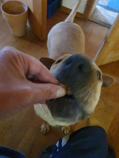 152. Foto Challenge: "Friss mir aus der Hand"-Beitrag-Bild