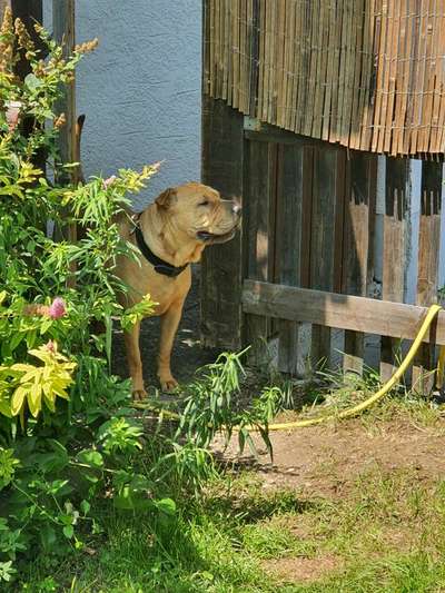 Farben Fotochallenge Thema ,,Grün"-Beitrag-Bild