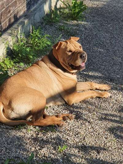 Lieblingsbild :D-Beitrag-Bild