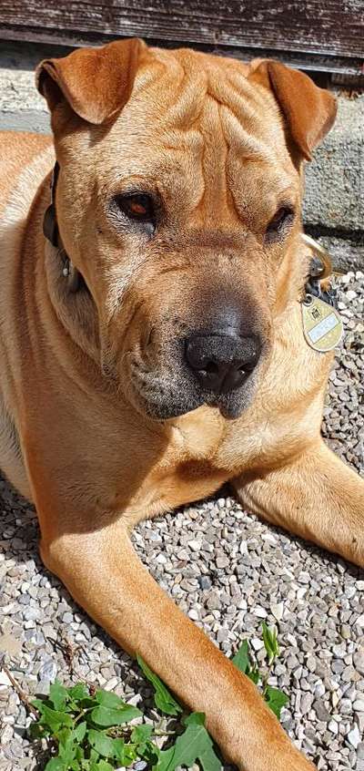 In welchem bundesland lebt ihr-Beitrag-Bild